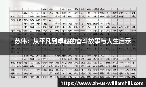 苏伟：从平凡到卓越的奋斗故事与人生启示