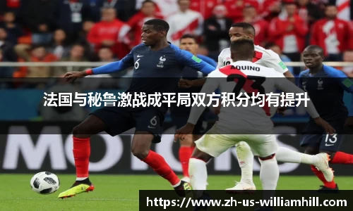 法国与秘鲁激战成平局双方积分均有提升